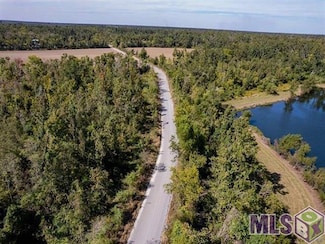 1254 Hope Farm Rd, Montegut, LA 70377