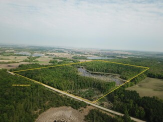 TBD 290th St, Oakland Township, MN 56589