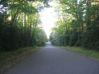#41 Woodland Dr, Star Lake, WI 54560