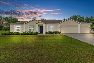 10438 Bloomfield Hills Dr, Seffner, FL 33584