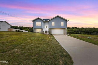 156 Milk Thistle Way, Fall Branch, TN 37656