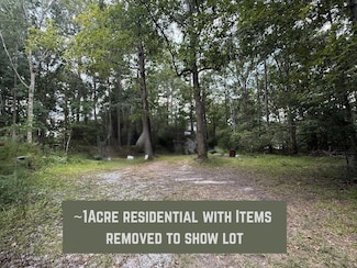 1151 -1b Orangeburg Rd, Summerville, SC 29483