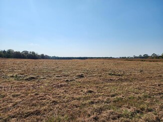 0 Frank Rd ( Swan Rd ) Lot 8, Fitzgerald, GA 31750