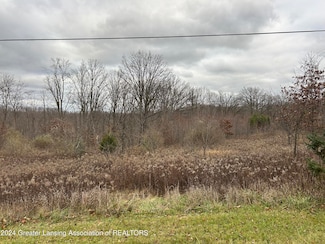 Vl S Ainger Rd, Olivet, MI 49076
