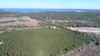 Henry Co Rd 46, Shorterville, AL 36373