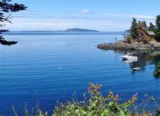 1 Willows Ln, Friday Harbor, WA 98250