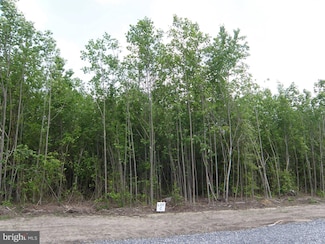 Lot C - 133-9.00-9.1 Easement Off of Shortly Rd, Georgetown, DE 19947