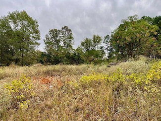 TBD Pine Wilderness Dr, Queen City, TX 75572