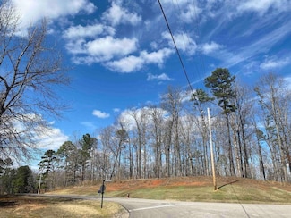 LOT 269 Sandpiper Pointe & Old South Rd, Counce, TN 38326
