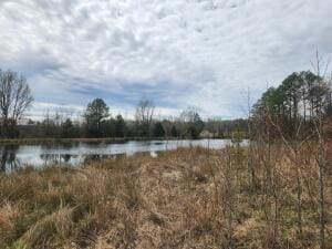 0 Cr 4410 Unit 25-501, Clarksville, AR 72830