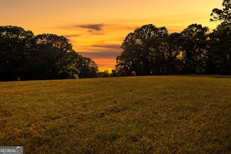 4091 Hollonville Rd, Williamson, GA 30292