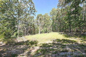 3492 Weaver Rd, Grovespring, MO 65662