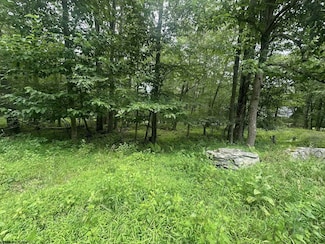 Lot 224 Woodbine Dr, Terra Alta, WV 26764