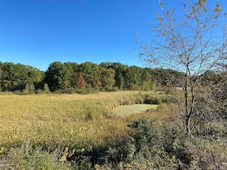 Tbd- 60.04 Creasy St, Portage, IN 46368