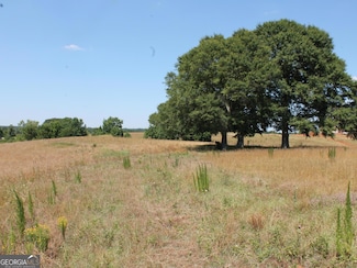 0 Sandy Creek Rd Unit TRACT 4 10326316, Madison, GA 30650