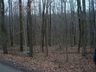 Lot 16 Mt Laurel Ln, Wharton Township, PA 15437
