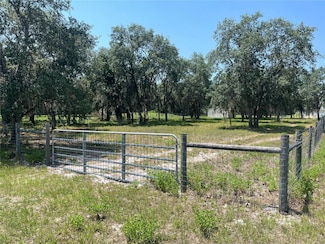 0 Shaw Lake Rd, Pierson, FL 32180