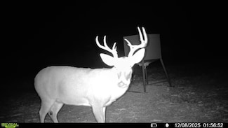 Farm To Market Road 716, Realitos, TX 78376