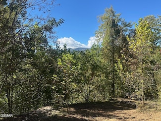 361 Oakwood Dr, Sevierville, TN 37876