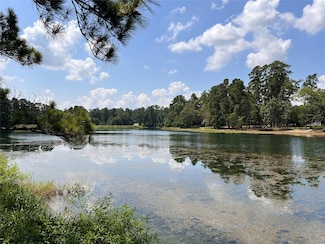 15218 Milton Whatley Dr, Montgomery, TX 77356