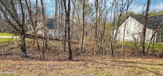 106 Elohi Ln, Loudon, TN 37774