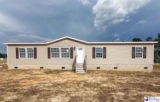 1318 Helena Dr, Floydale, SC 29536