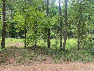 0 Hempstead 48 Rd, Washington, AR 71862