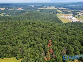 SITE 1A&1B All Jersey Rd, Somerville, AL 35670