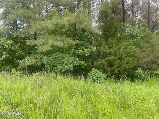 0 Bartlett Rd Unit 2502351, Reagan, TN 38368