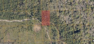0 Nectarine Rd, Deland, FL 32724