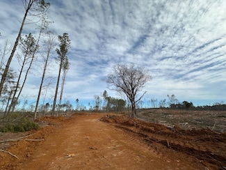 11 County Road 2251, Kosciusko, MS 39090