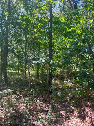 9 Crowell Ln, Tisbury, MA 02568