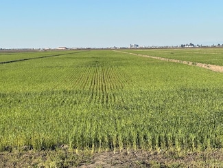 0 W Jackson Ave W Unit 231669, Lemoore, CA 93245
