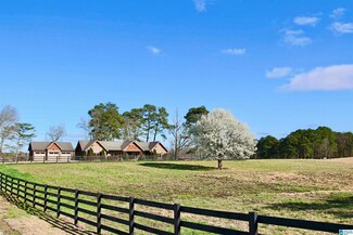 1396 Sun Valley Rd, Harpersville, AL 35078