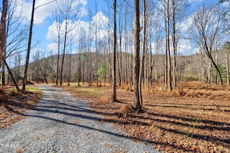 Tbd McInturff Springs Rd, Erwin, TN 37650