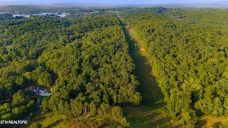 0 Lake Forest Dr Unit 1292003, Spring City, TN 37381