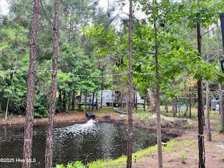 1529 Pine Tree SW, Supply, NC 28462