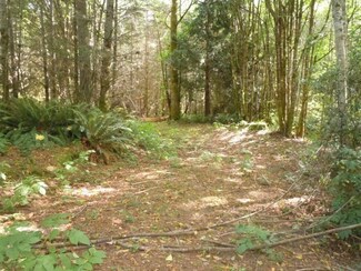 0 Lot D Lofall Rd Unit 813159, Poulsbo, WA 98370