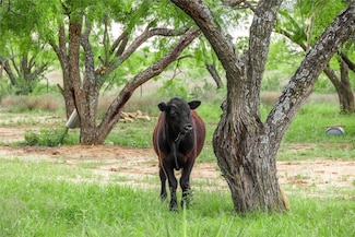 5088 U S Highway 67 Unit 84, Brownwood, TX 76801