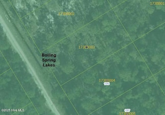 1029 Statesville Rd, Boiling Spring Lakes, NC 28461
