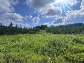 Lot 41 Three Point Rd, Madisonville, TN 37354