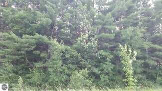 000 Keillor Rd, Bear Lake, MI 49614