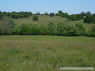 TBD Gott Plantation Rd, Brumley, MO 65017