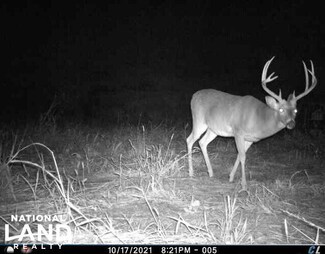 1128 Friendly Rd, Lake Providence, LA 71254