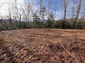 Lot #2 Tobacco Branch Rd, Almond, NC 28771