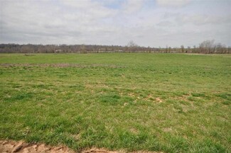 Tbd Hwy P, Verona, MO 65769