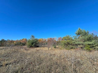 V/L Par B Chestnut, Bagley Township, MI 49735