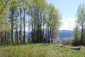 0 Graves Rd Unit 803234, Curlew, WA 99118