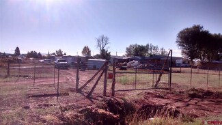 0 Lincoln St Unit 738199, Nucla, CO 81424