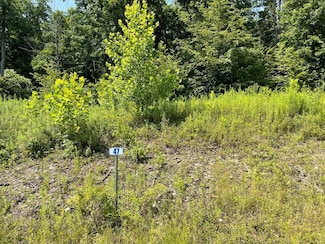 Lot 47 Hemlock Hills Rd, Towanda, PA 18848